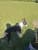 20250403_150311.jpg
