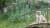 background_dog.jpg