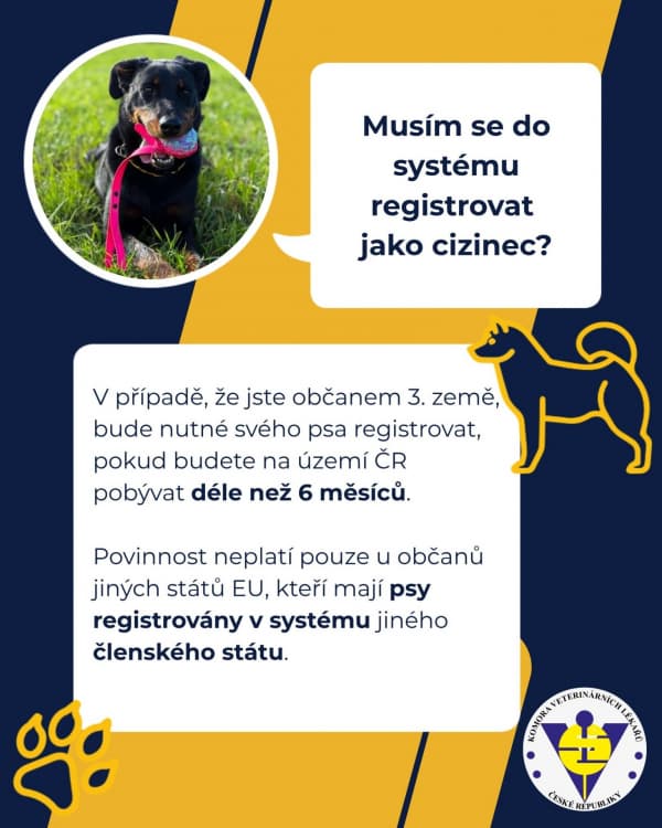 11 Musím se do systému registrovat jako cizinec