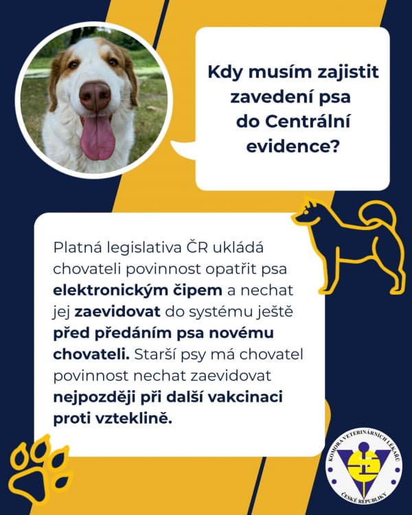 03 kdy zavest psa do cep