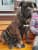 IMG_7073.jpeg