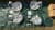 IMG_1791.jpeg