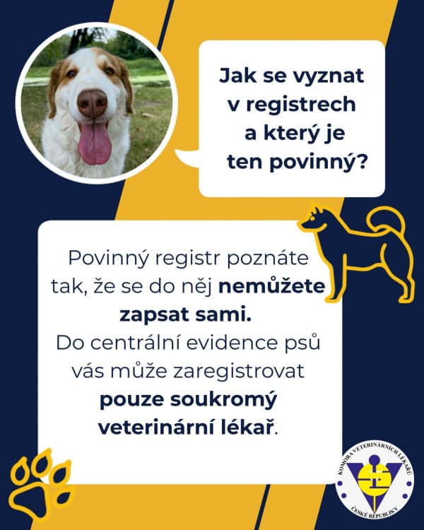 19 Jak se vyznat v registrech a který je ten povinný