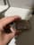 IMG_4819.jpeg