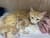 IMG_2853.jpeg